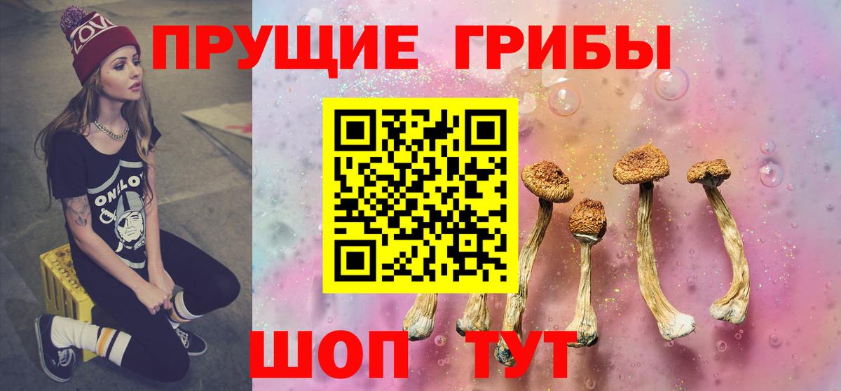 купить  цена  Вход с VPN  Ливны  Псилоцибиновые грибы GOLDEN TEACHER 
